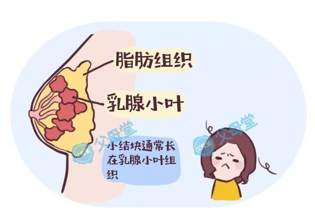 生代怀代生套餐生的孩子乳房会不会变大（生代怀代生套餐生的孩子以后乳房会变大吗）