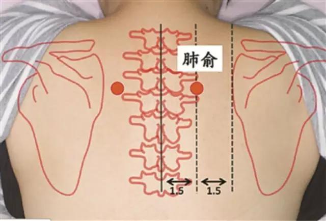 孕妈助孕服务生的婴儿肺部有炎症怎么办，孕妈助孕服务生的婴儿肺部发炎怎么办